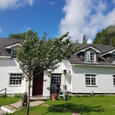 Coynant Farm Guesthouse - Farm Park Stay Свонсі Екстер'єр фото