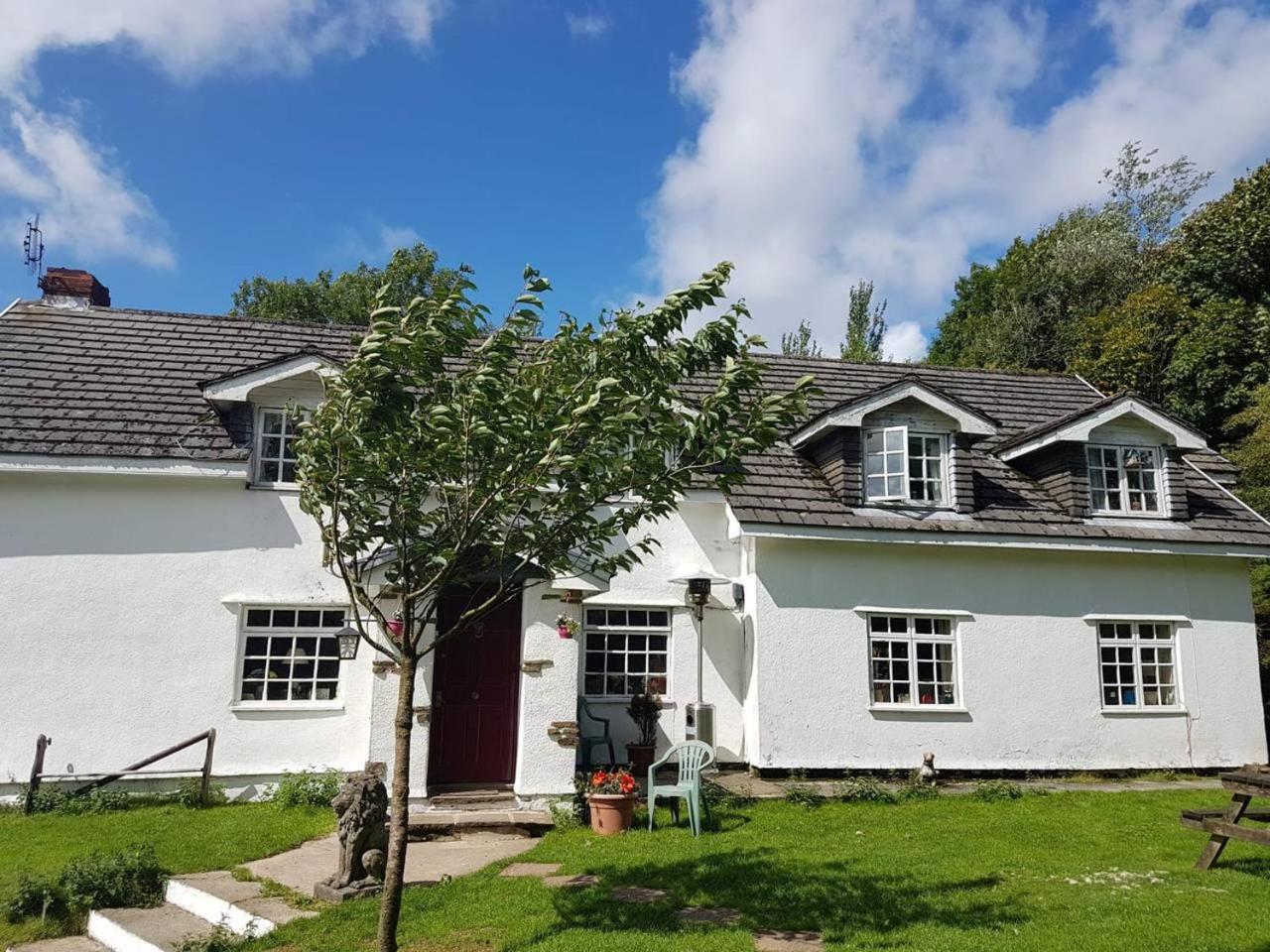 Coynant Farm Guesthouse - Farm Park Stay Свонсі Екстер'єр фото